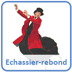 Echassier rebond