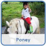 Poney